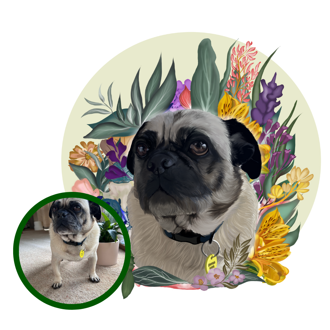 A beautiful floral back drop elevates the illustration of your pup and the artist adds beautiful elegance around the portrait. Each porcelain planter urn has been carefully crafted with the memory of your pet in mind. The base separates to enable you to either keep your ashes in the bottom compartment with the use of the provided plug or it can be used for self watering.  