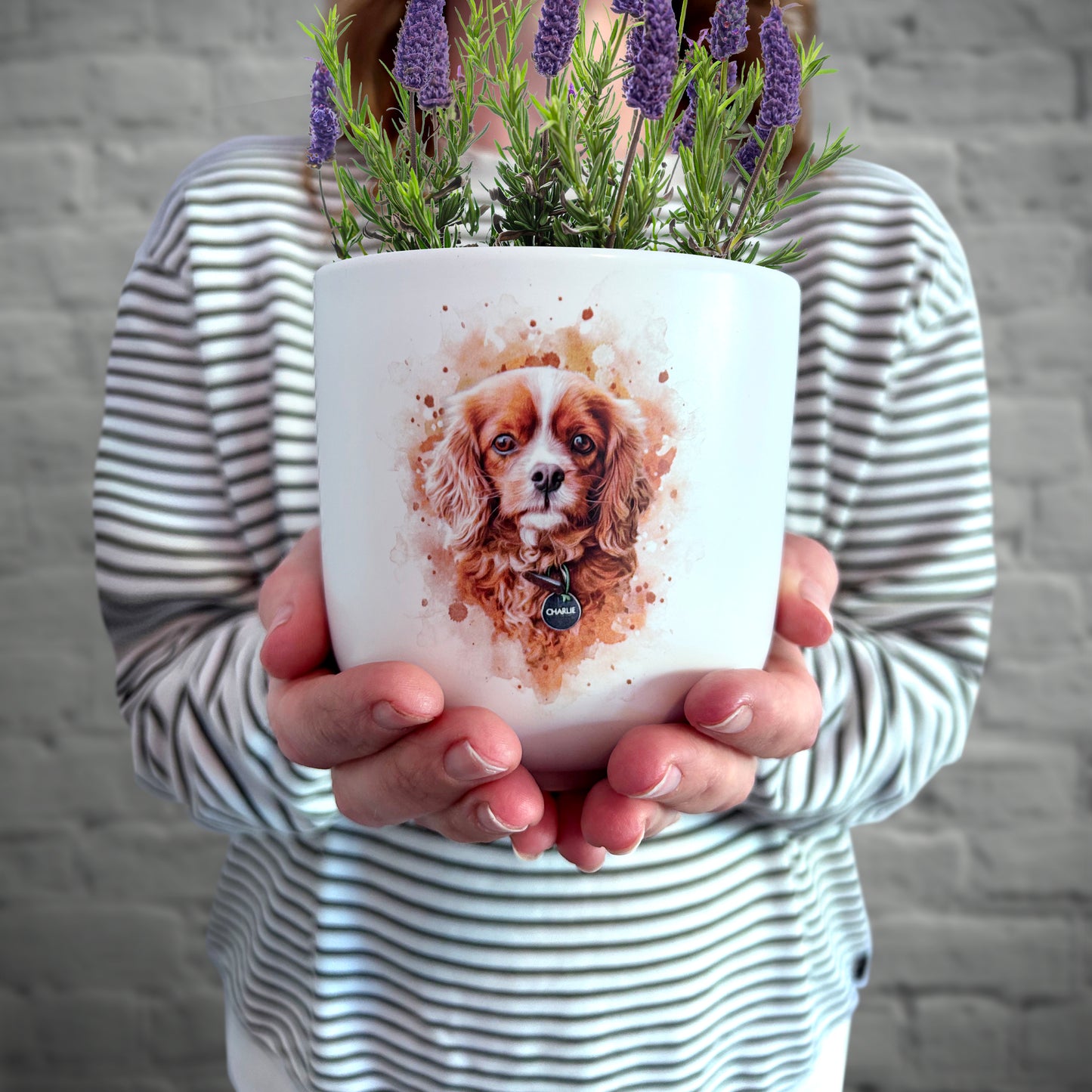 This watercolour style draws off the natural colours of your pet to produce a flow into the distance in a love that never faded. Each porcelain planter urn has been carefully crafted with the memory of your pet in mind. The base separates to enable you to either keep your ashes in the bottom compartment with the use of the provided plug or it can be used for self watering.  