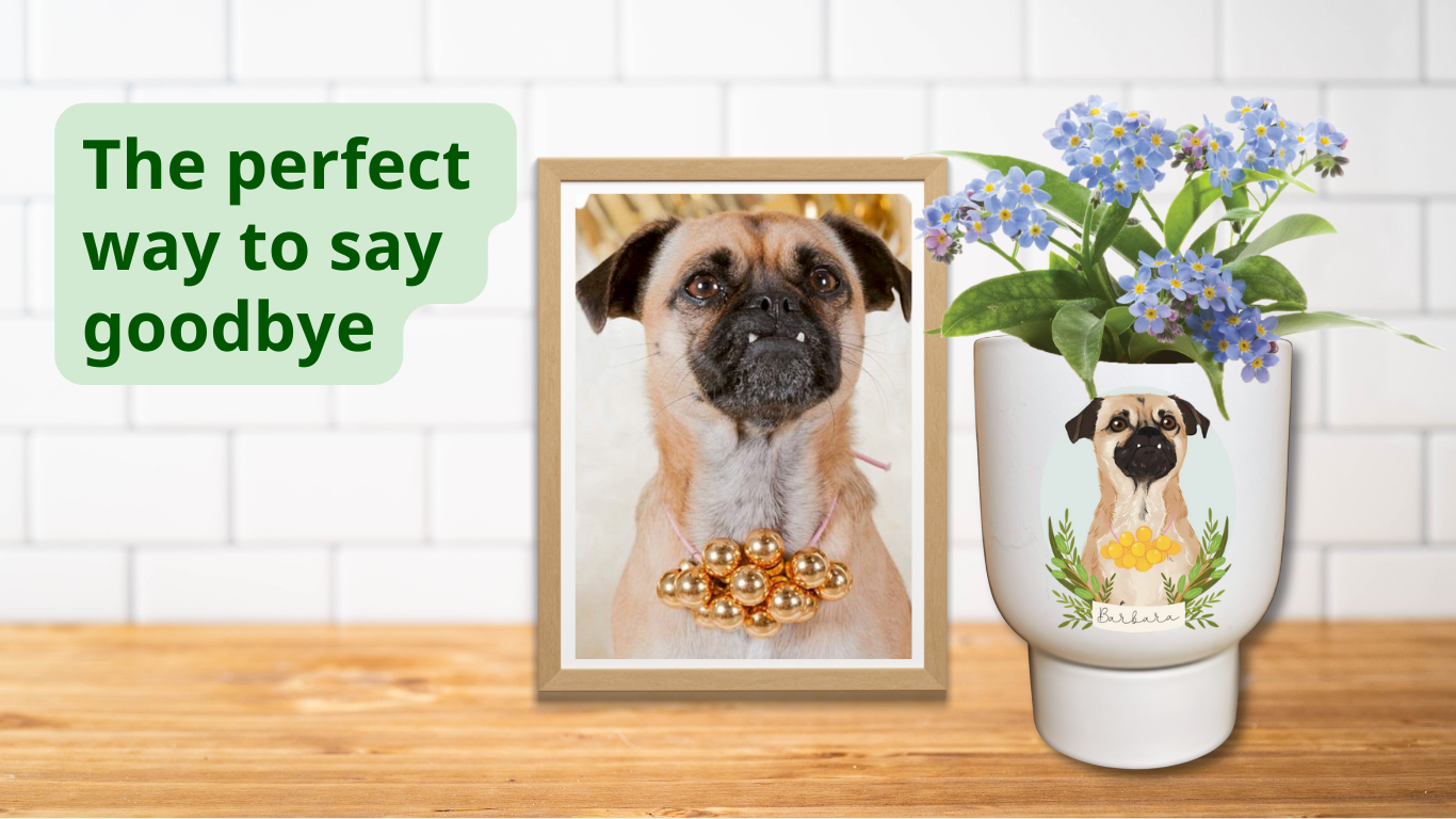 Pets In Bloom - Planter Urn | The perfect way to say goodbye